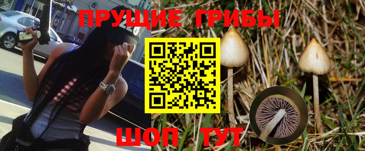 Галлюциногенные грибы прущие грибы Рыбинск
